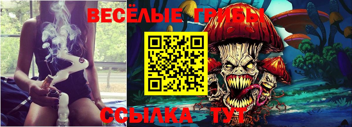 Галлюциногенные грибы мухоморы Россошь